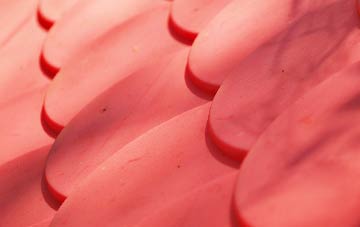 Nether Yeadon plastic roof costs